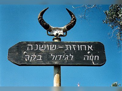 מאיר הר-ציון - moreshet.com