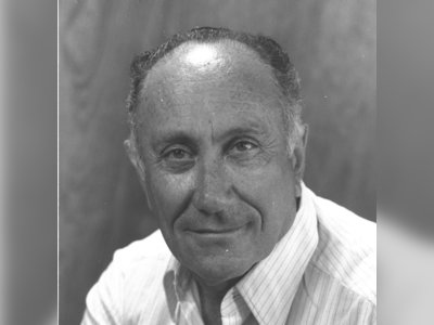 מאיר עמית - moreshet.com