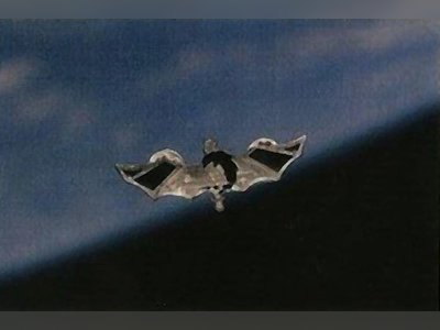 אילן רמון - moreshet.com