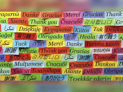 עזרה בתרגום האתר - moreshet.com