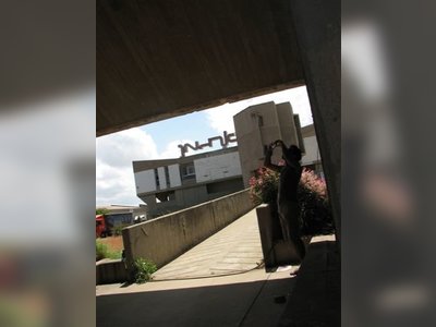 רם כרמי - moreshet.com